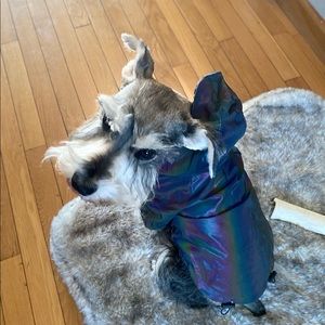 Medium Rainbow rain jacket